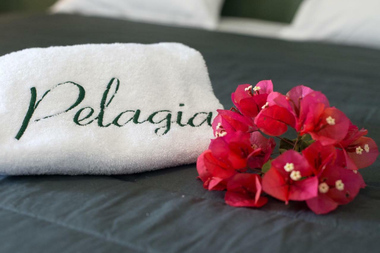 Apartment Pelagia Sea Side Acharavi (Corfu)